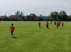 IMG_4676.jpg