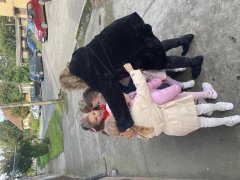 IMG_5628.jpg