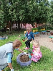 IMG_3180.JPG